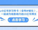 厦九九小红书学习年卡（全年IP孵化），沉浸式学习，一起成为有影响力的小红书博主-一起网赚吧