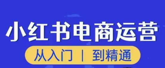 顽石小红书电商高阶运营课程，从入门到精通，玩法流程持续更新-一起网赚吧