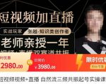 张越·短视频+直播，自然流三频共振起号实操课，​短视频所有流量玩法讲解-一起网赚吧