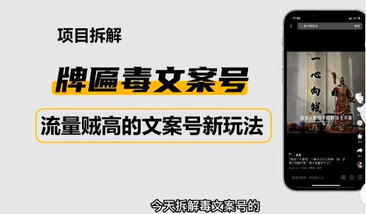 2023抖音快手毒文案新玩法，牌匾文案号，起号快易变现-一起网赚吧