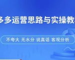 拼多多店铺运营思路与实操教程，快速学会拼多多开店和运营，少踩坑，多盈利-一起网赚吧