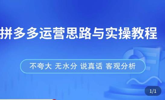 拼多多店铺运营思路与实操教程，快速学会拼多多开店和运营，少踩坑，多盈利-一起网赚吧