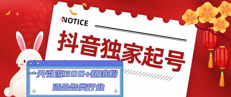 抖音独家起号，一天引流500+精准粉，适合各类行业（9节视频课）-一起网赚吧