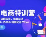 美团电商特训营：美团·店群玩法，无脑铺货月产出6000-15000+精细化月产2w+-一起网赚吧