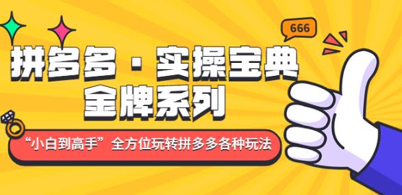 拼多多·实操宝典：金牌系列“小白到高手”带你全方位玩转拼多多各种玩法-一起网赚吧