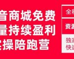 抖音商城搜索持续盈利陪跑成长营，抖音商城搜索从0-1、从1到10的全面解决方案-一起网赚吧