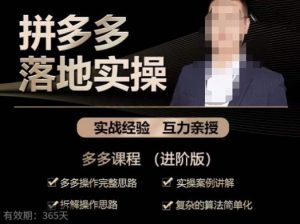 拼多多实战篇·落地实操:多多操作完整思路+实操案例讲解+拆解操作思路+复杂的算法简单化-一起网赚吧