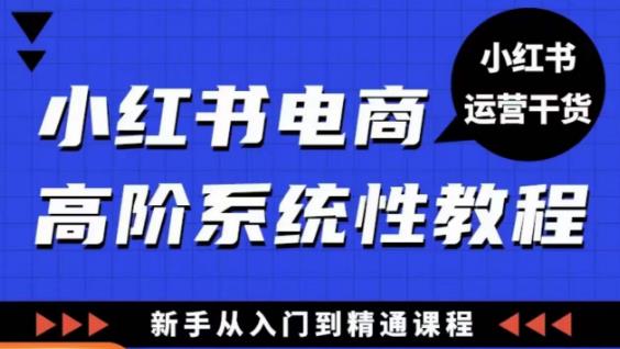 小红书电商高阶系统教程，新手从入门到精通系统课-一起网赚吧