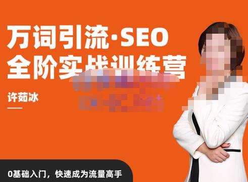 许茹冰·万词引流-SEO全阶实战训练营，0基础入门，快速成为流量高手-一起网赚吧