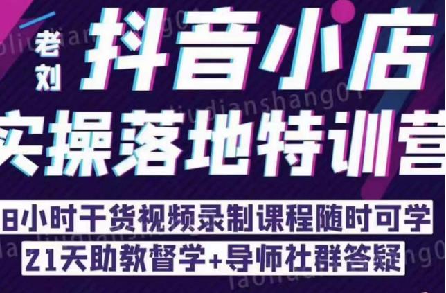 抖音小店实操落地特训营：抖音小店无货源精细化运营，抖店商品卡流量（22节）-一起网赚吧