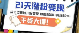 21天精准涨粉变现干货大课：从10位粉丝开始变现月增5000+变现20w+-一起网赚吧