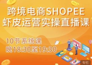 跨境电商Shopee虾皮运营实操直播课，从零开始学，入门到精通（10节系统课）-一起网赚吧