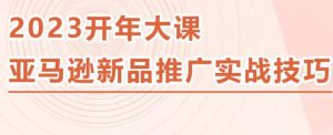 2023亚马逊新品推广实战技巧，线下百万美金课程的精简版，简单粗暴可复制，实操性强的推广手段-一起网赚吧