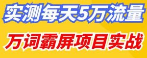 百度万词霸屏实操项目引流课，30天霸屏10万关键词-一起网赚吧