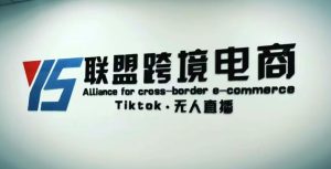YS联盟·Tiktok无人直播，不出镜不剪辑不拍摄不发货无售后的跨境短视频躺赚玩法-一起网赚吧