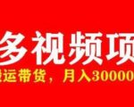 多多带货视频快速50爆款拿带货资格，搬运带货，月入30000【全套脚本+详细玩法】-一起网赚吧