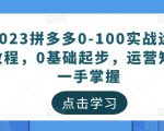 2023拼多多0-100实战运营教程,0基础起步,运营知识一手掌握-一起网赚吧