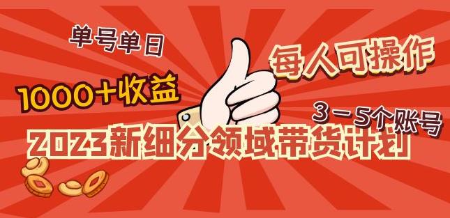 2023新细分领域带货计划：单号单日1000+收益不难，每人可操作3-5个账号-一起网赚吧