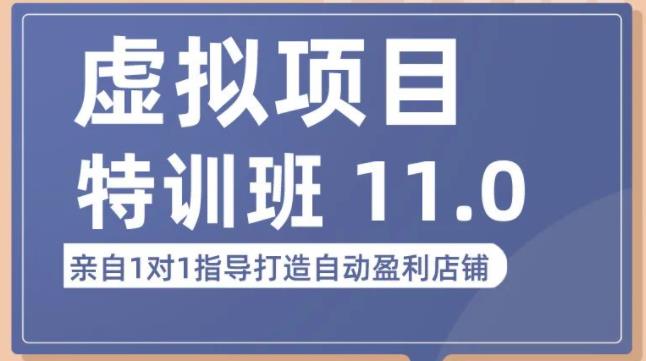 陆明明·虚拟项目特训班（10.0+11.0），0成本获取虚拟素材，0基础打造自动盈利店铺-一起网赚吧