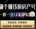刘广标·同城房产号线上陪跑课,拍摄、剪辑、写文案、直播,做一个具有潜力价值的房产号-一起网赚吧