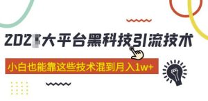 大平台黑科技引流技术，小白也能靠这些技术混到月入1w+(2022年的课程）-一起网赚吧
