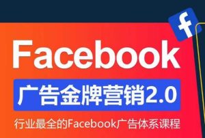 Facebook广告营销体系化教程,Facebook广告金牌营销2.0,行业最全的Facebook广告体系课程-一起网赚吧