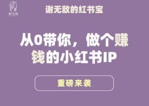谢无敌·小红书运营大宝典，从0带你做个赚钱的小红书IP-一起网赚吧