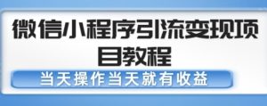 微信小程序引流变现项目教程，当天操作当天就有收益，变现不再是难事-一起网赚吧