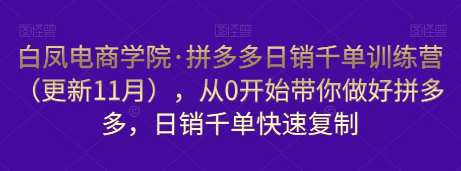 白凤电商学院·拼多多日销千单训练营，从0开始带你做好拼多多，日销千单快速复制（更新知2023年3月）-一起网赚吧