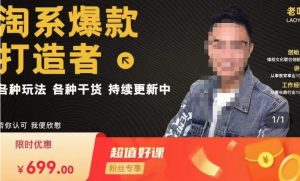 锋投老叶全店动销,淘系干货汇总,各种玩法,淘系爆款打造者-一起网赚吧