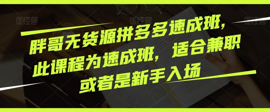 胖哥无货源拼多多速成班，此课程为速成班，适合兼职或者是新手入场-一起网赚吧