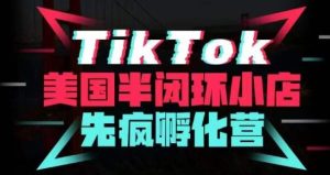 疯人院·TikTok美国半闭环小店孵化营，抢占TikTok美国蓝海市场，开店、运营、带货、投流全实操-一起网赚吧