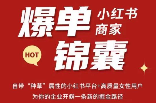无畏·小红书商家爆单锦囊，掌握小红书各大规则，快速精准抢占行业和市场-一起网赚吧