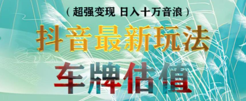 抖音最新无人直播变现直播车牌估值玩法项目，轻松日赚几百+【详细玩法教程】-一起网赚吧