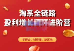 淘系全链路盈利增长闭环进阶营，融合全店动销，学得会、听得懂、能落地！-一起网赚吧