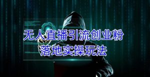 外面收费3980的无人直播引流创业粉落地实操玩法，单日引100+精准创业粉-一起网赚吧