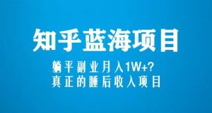 知乎蓝海玩法，躺平副业月入1W+，真正的睡后收入项目（6节视频课）-一起网赚吧