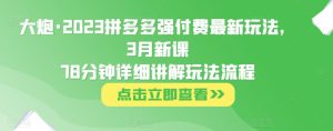 大炮·2023拼多多强付费最新玩法，3月新课​78分钟详细讲解玩法流程-一起网赚吧