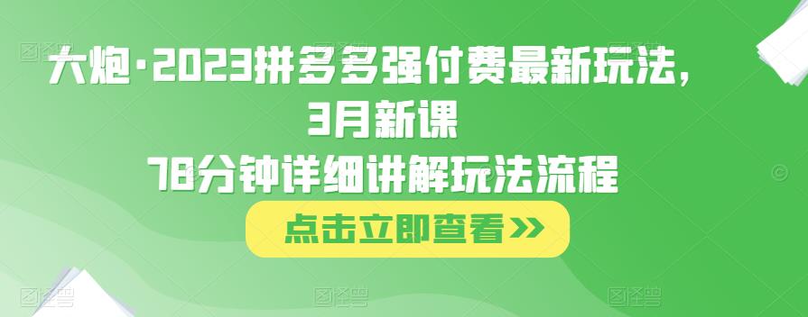 大炮·2023拼多多强付费最新玩法，3月新课​78分钟详细讲解玩法流程-一起网赚吧