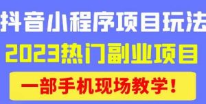 抖音小程序9.0新技巧，2023热门副业项目，动动手指轻松变现-一起网赚吧
