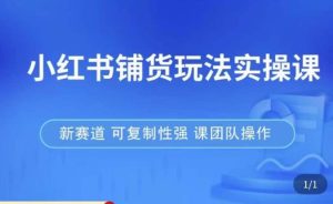 小红书铺货玩法实操课，流量大，竞争小，非常好做，新赛道，可复制性强，可团队操作-一起网赚吧
