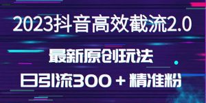 日引300＋创业粉，独家抖音高效截流2.0玩法（价值1280）-一起网赚吧