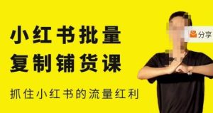 张宾·小红书批量复制铺货课，小红书0-1快速起号变现玩法，抓住小红书的流量红利（更新2023年3月）-一起网赚吧