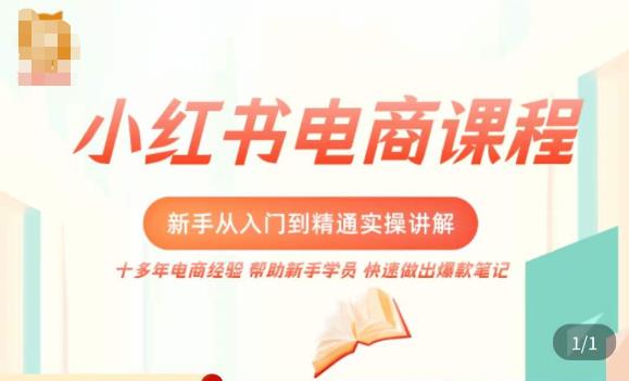 小红书电商新手入门到精通实操课，从入门到精通做爆款笔记，开店运营-一起网赚吧