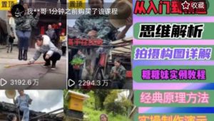 东方糖糖妹抖音短视频全套实战课思维+拍摄+剪辑+运营，从入门到精通-一起网赚吧