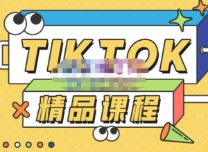 电商孵化中心·TikTok精品课程，教你玩转海外抖音，低成本创业，带您从0开始玩转TikTok-一起网赚吧