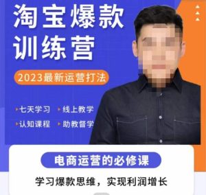 爱上黄昏·淘宝爆款训练营，2023最新运营打法，学习爆款思维，实现利润增长-一起网赚吧
