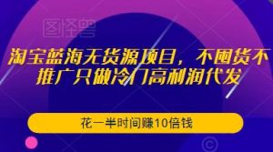 淘宝蓝海无货源项目,不囤货不推广只做冷门高利润代发,花一半时间赚10倍钱-一起网赚吧