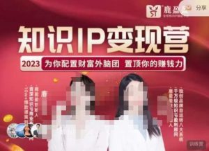 鹿盈盈-知识IP变现实操营，​普通人可复制的知识产品落地实操课，​带你打通知识IP变现底层逻辑-一起网赚吧