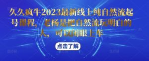 久久疯牛2023最新线上纯自然流起号课程,老杨是把自然流玩明白的人,可以闭眼上车-一起网赚吧
